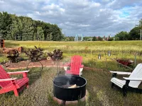 Experience Fall Along the Beautiful Chippewa River