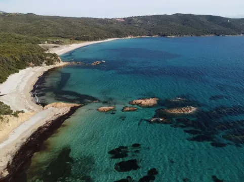 Loue Studio à Serra Di Ferro Idéal Pour 2 Personnes, Entièrement Rénové Hôtels à : Serra-di-Ferro