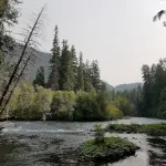 Mckenzie River Cabin at The Log Cabin Inn