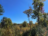 RESTful yurt in charming Hinsdale; pet-friendly with multiple hiking options