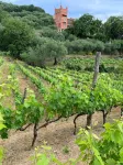 Lovingly Restored Country Farm House in Olive Grove 10 minutes from sea
