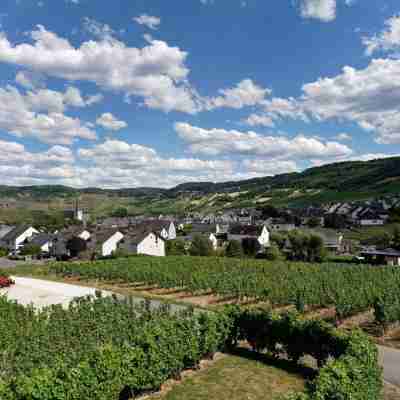 Ferienwohnung "laurentiusblick" mit Panoramablick in den Weinbergen von Leiwen Others