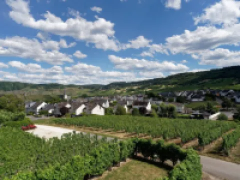 Ferienwohnung "laurentiusblick" mit Panoramablick in den Weinbergen von Leiwen Hoteles en Leiwen