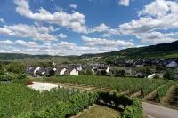 Ferienwohnung "laurentiusblick" mit Panoramablick in den Weinbergen von Leiwen