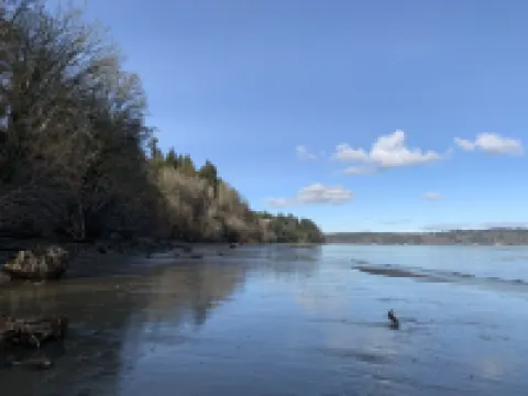 Waterfront Studio Apartment. Perfect for work or play.