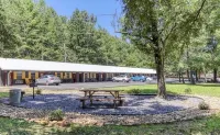 9 on the Ridge - 3 miles from Dollywood & Pet Friendly - Many repeat customers!