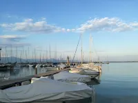 Carpe Diem Citrus - Oasis of peace