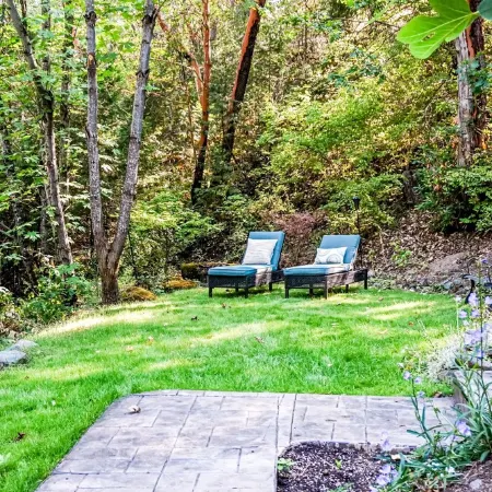 Beautiful Guest Suite with Private Deck Overlooking Forest and Waterfall