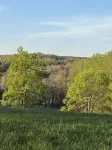 Cozy and comfortable1BR cabin on the Blue Ridge Parkway in Floyd VA.