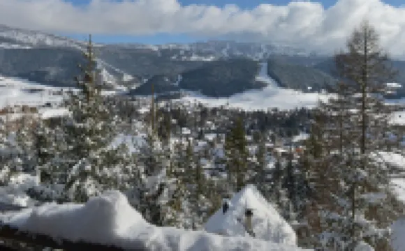 Adorable chalet perched in the forest with breathtaking views of the ski area.