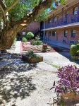 Cozy Place Downtown by the River Center minutes to LSU. Free Parking/Wifi