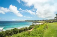 Ocean view, best location in Kapalua, walk to beach, remodel