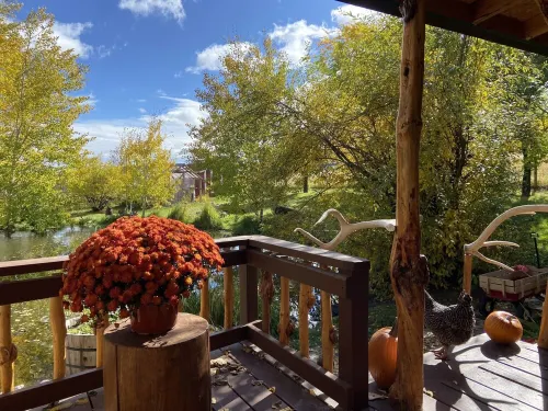 Cozy cabin nestled beside a spring-fed pond&hobby farm in the Elkhorn Mountains