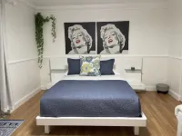 Delightful Studio in Wellington