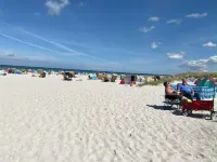 Right next to the nature reserve! Great for dogs and nature lovers Hotels in Prerow