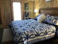 Evergreen Romantic Mountain Cabin near Evergreen Lake.