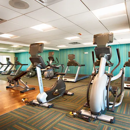 Holiday Inn Express & Suites HOUSTON SW - GALLERIA AREA by IHG