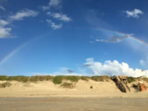 Carolina Sunshine 3 Bedroom 2 Bath Condo