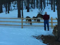 On Golf Course, 4 Bedrooms, 3 bathrooms, Sleeps 10