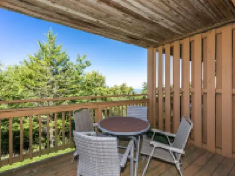 Newly Renovated Snowshoe Summit Condo 101A 3BR/2BA Near Ski Village W/Parking! Hotele w: Edray