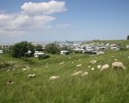 Middle row house near the beach, quiet location but in the middle of life Hotels in Tossens