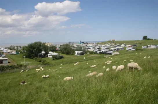 Middle row house near the beach, quiet location but in the middle of life