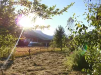 Holzhaus Besler in Hinterstein Self-catering house in the Allgäu Alps