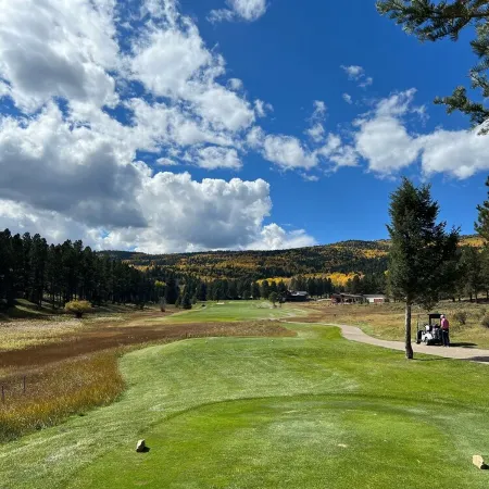 Comfy ski and mountain bike condo walking distance to lift!
