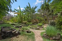 Amazing Oceanfront Platinum Condo; Gorgeous Views.  Whales.  Step in Snorkeling. Ahihi-Kinau自然保護區附近的飯店