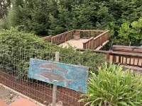 Charming Single Level Rio Del Mar Beach Home Adjacent to Seascape Golf Course - Wifi