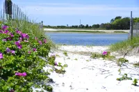 Spectacular Waterfront Cape Cod Home, Oceanfront And Beach,AC,Deck,Grill,Hot Tub
