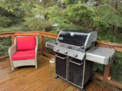 Killewich home in the Mendenhall Valley