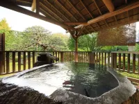 Tendo Onsen Matsunoyu - balneario