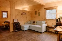 Cozy Cabin with private woods in charming Rock Stream NY.