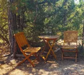Cozy Cabin in the Pines