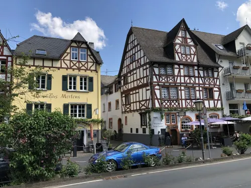 Holiday on the Moselle in the Weinberg holiday apartment in Zell (Moselle)