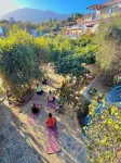 Pantheon Apartments & Studios