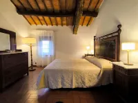 Farmhouse in Tuscany with Olive Grove Views