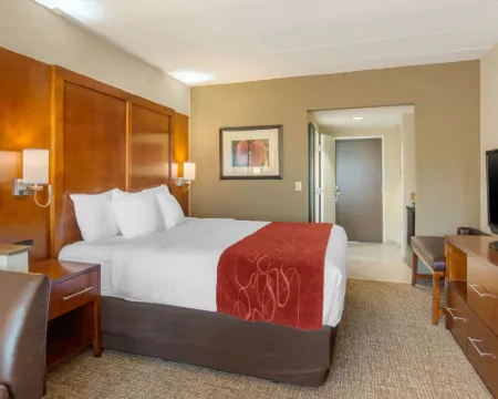 Comfort Suites Southpark Hoteles en Colonial Heights