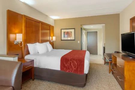 Comfort Suites Southpark Отели в г. Еттрик