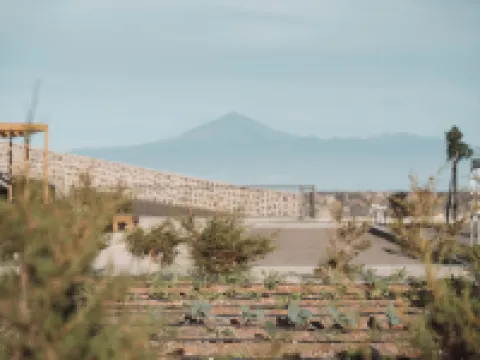 Bancal Hotel and Spa 戈梅拉島聖塞瓦斯蒂安酒店