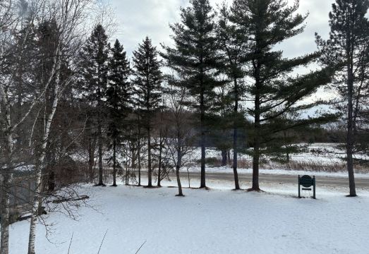 5. 테일윈즈 B&B..