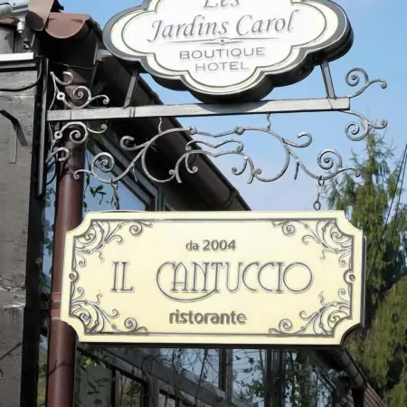Hotel les Jardins Carol Отели рядом с достопримечательностью «Парк Тинеретулуи»
