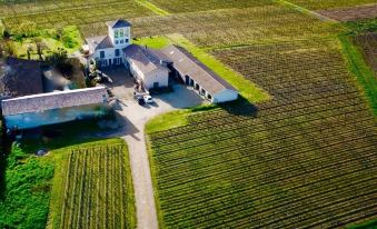 Château Trillon