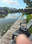 Pet Friendly 2 Bed 1 Bath Home on the water in delightful Buckhead Ridge