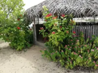 Summer Wave Hotels in Kudawa