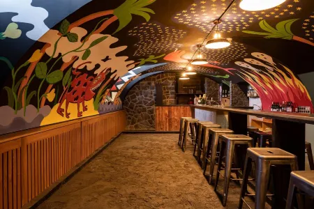 Peanut Mountain Lodge & le Communal Отели в г. Валь-д'Илье