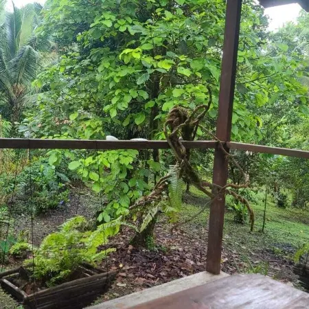 Ecohotel Bahía Terco
