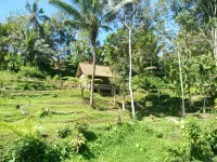 Duegoal Farmhouse - Urlaub auf dem Bauernhof