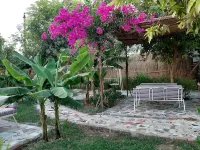 Nile Compound Hotels near Nile
